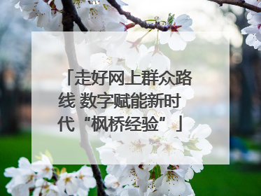 走好网上群众路线 数字赋能新时代“枫桥经验”
